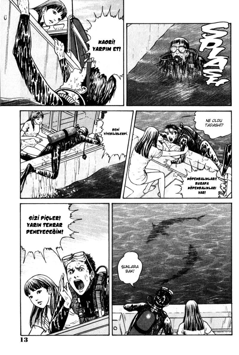 GYO Ch. 1 第13页
