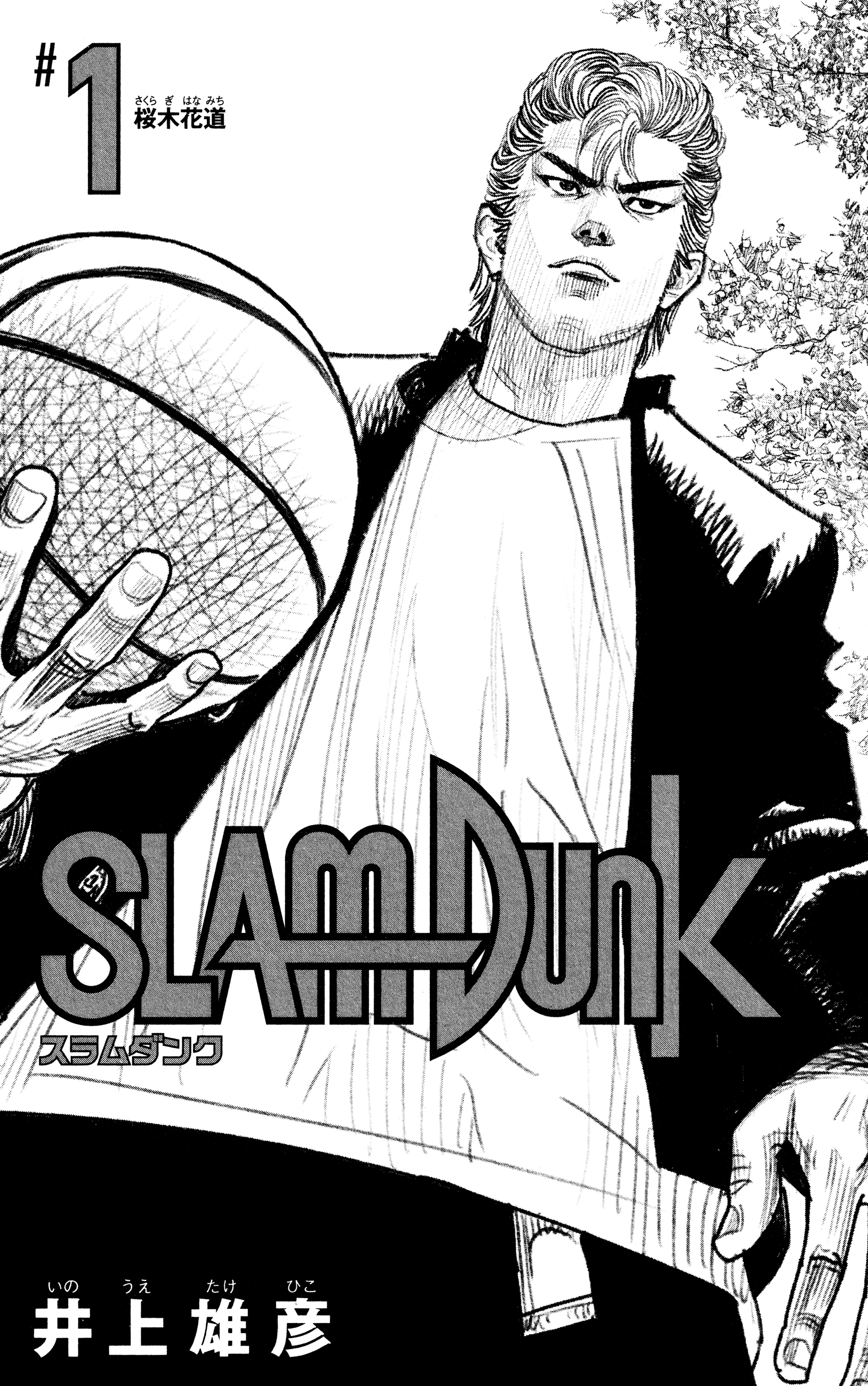 Slam Dunk (Shinsoban Release) 第6页