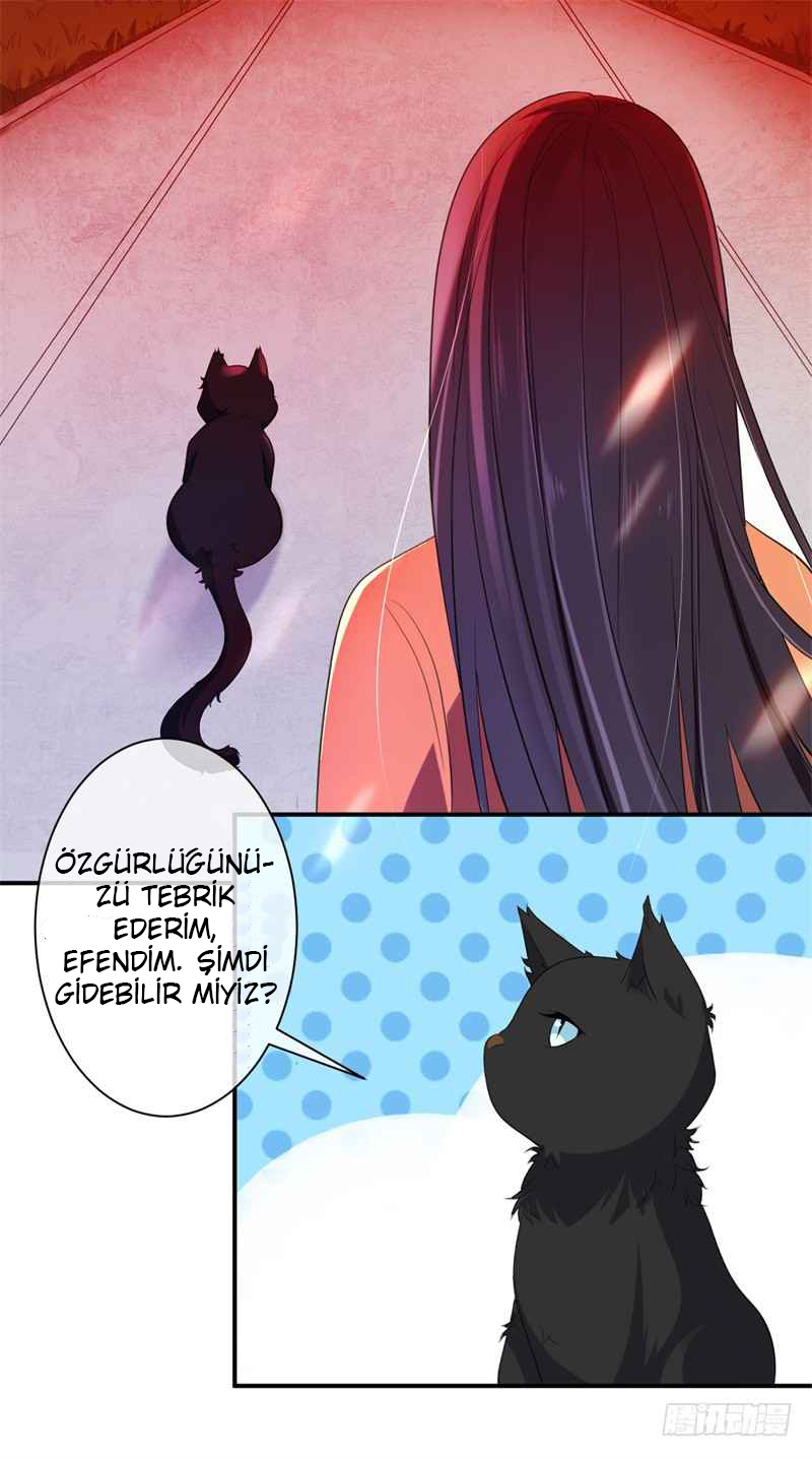 Genius Doctor: Black Belly Miss Dükün Kızının Yerine Geçmek 第4页