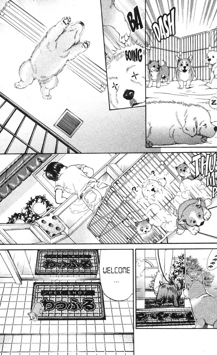 Inubaka I'll Do My Best (for now) 第23页