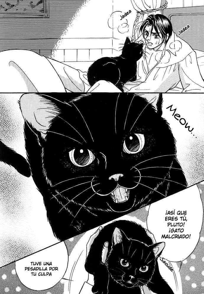 The Black Cat 第5页