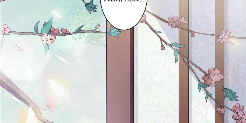 The General's Little Medic Lover Come, General. 第11页