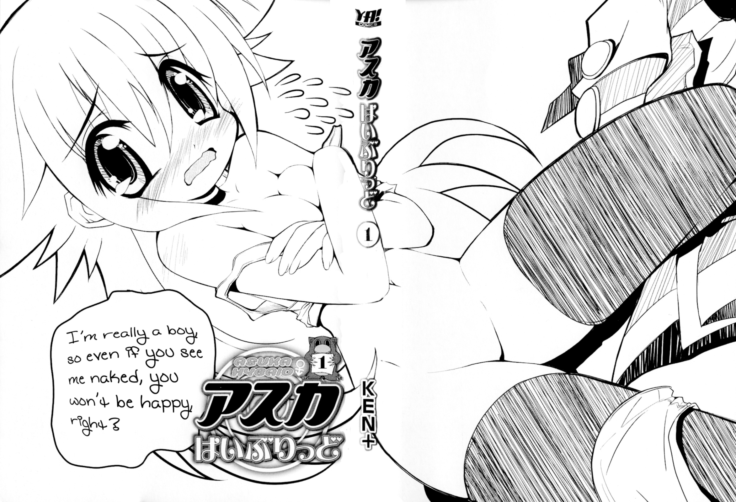 Asuka Hybrid 第2页
