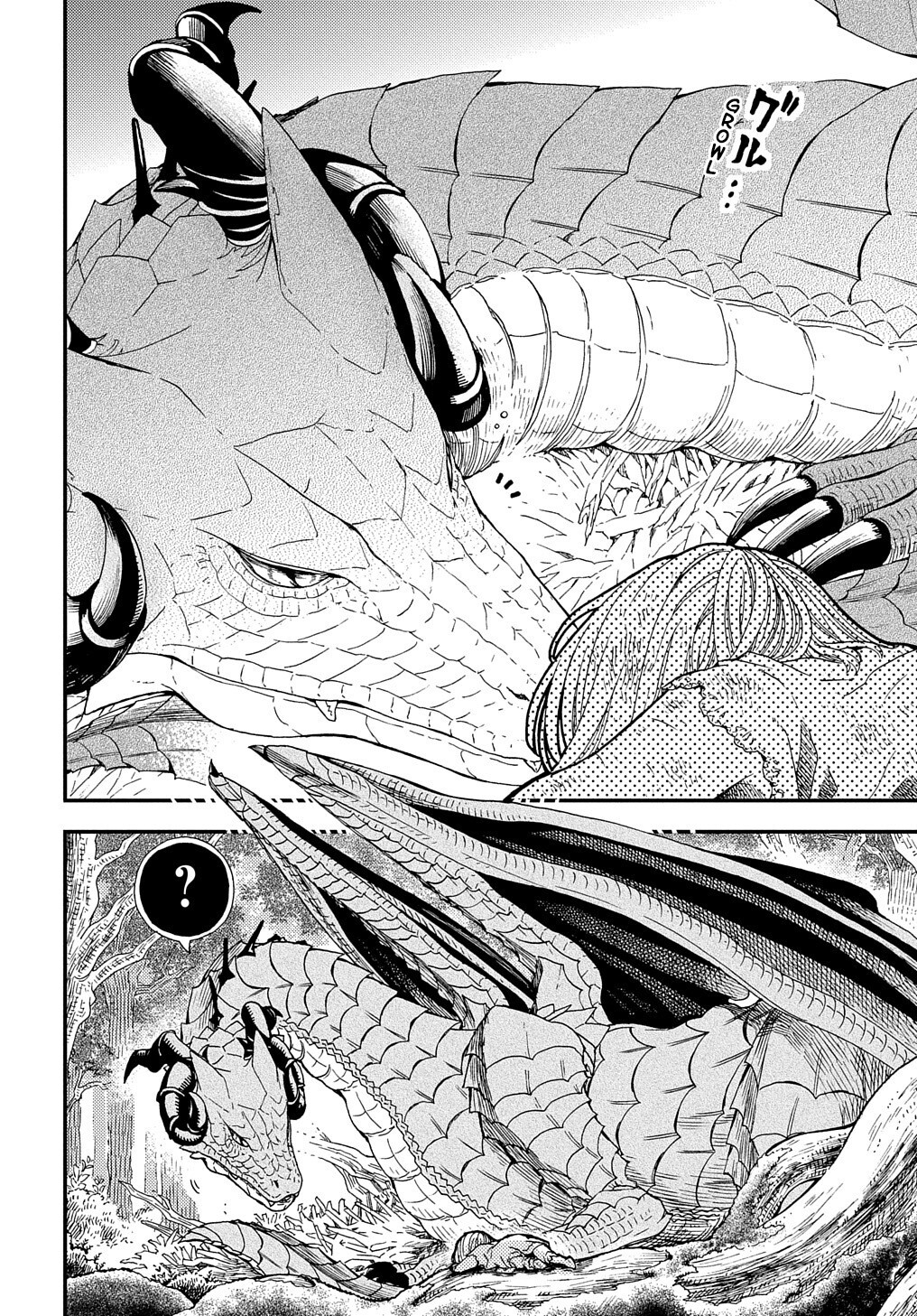 Hone Dragon no Mana Musume Aun no ha llegado la hora del viejo dragon 第6页