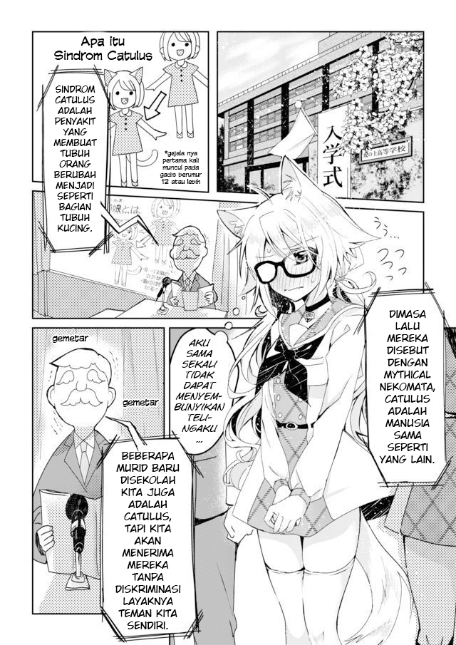 Catulus Syndrome Sindrom Catulus 第5页