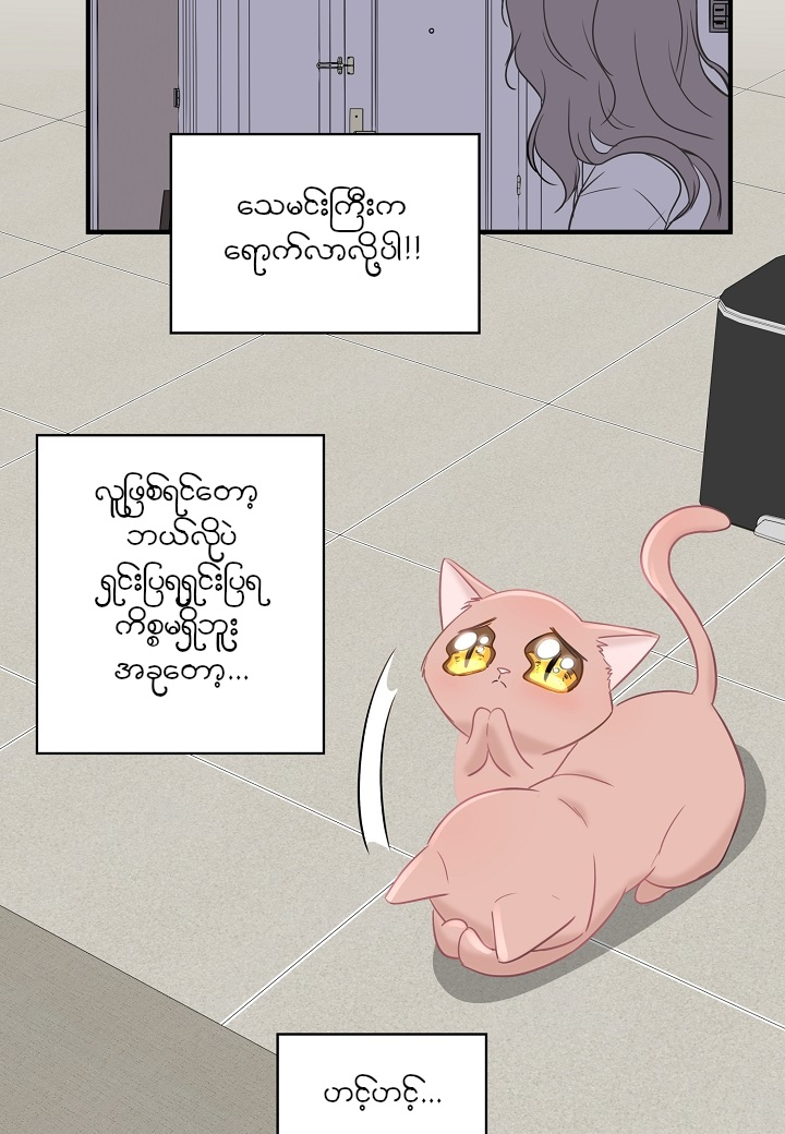 Just for a Meowment Ch. 5 第36页