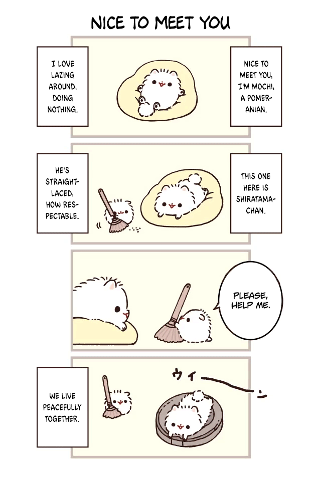 Mochi wa Pomeranian 第1页