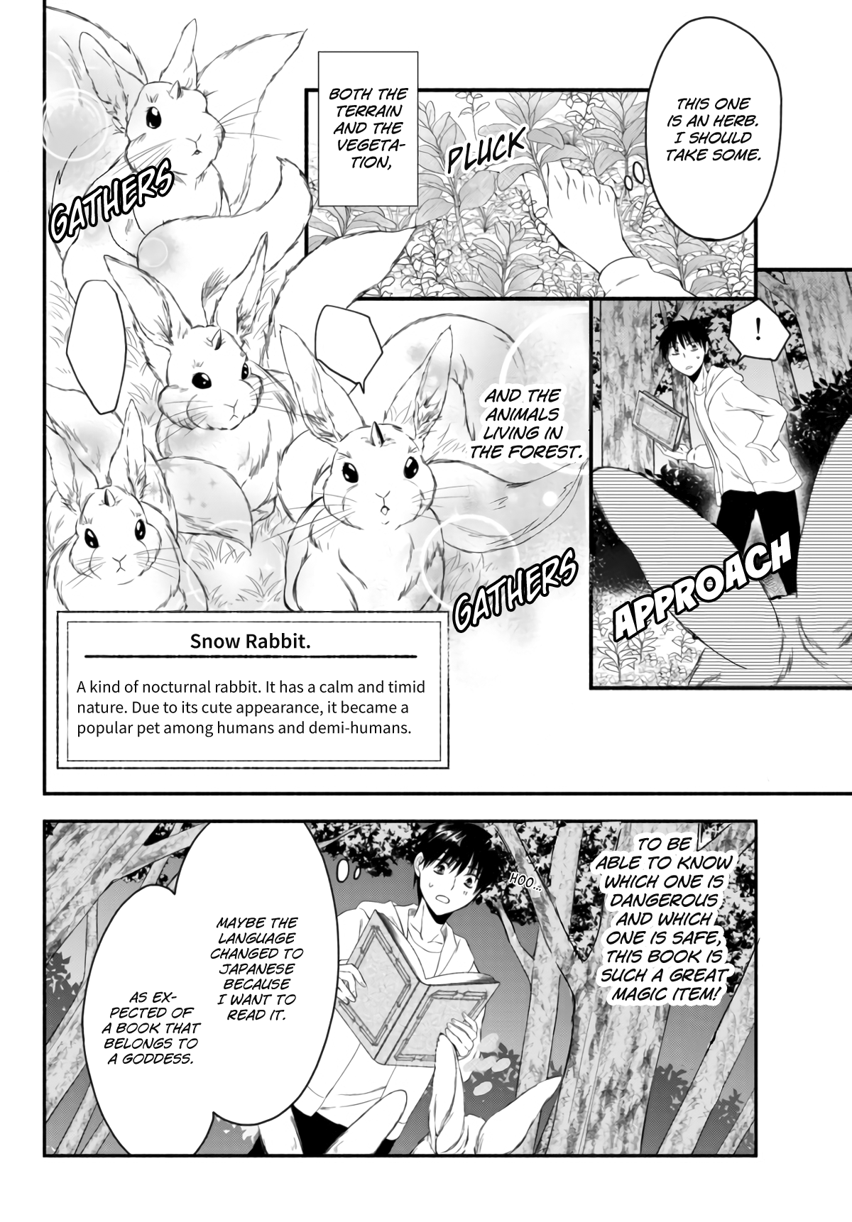 Isekai Munchkin - HP 1 no Mama de Saikyou Saisoku Dungeon Kouryaku The World Book and Holy Knight 第15页