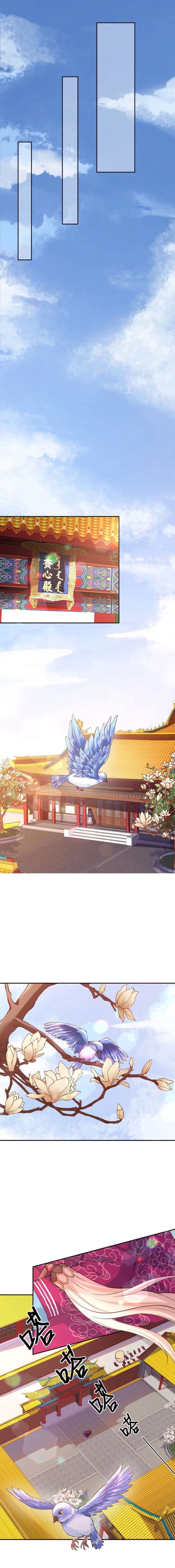 Princess, Don't Ruin Your Public Persona! Ch. 3 第9页