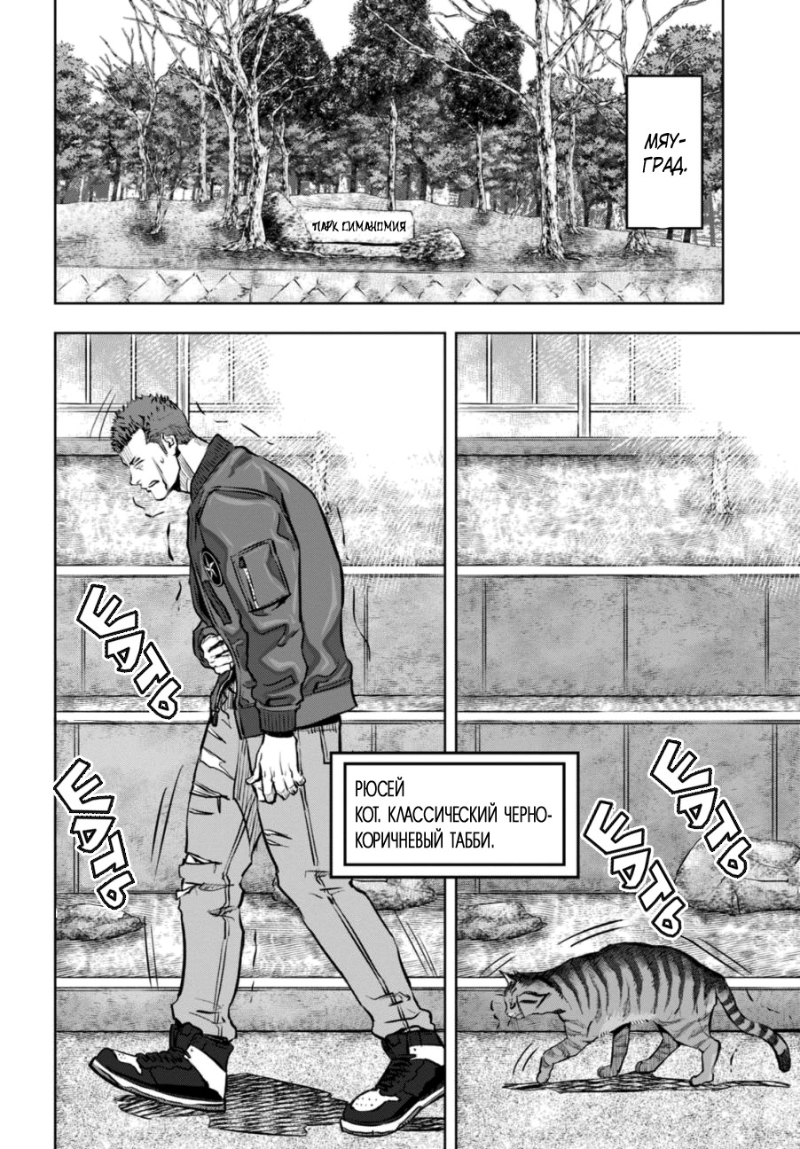 Nyankees Его имяу... 第11页