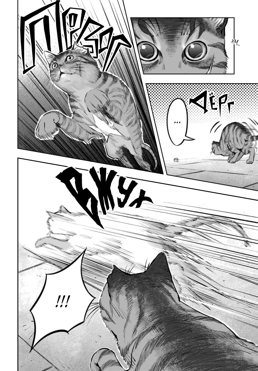 Nyankees Его имяу... 第13页