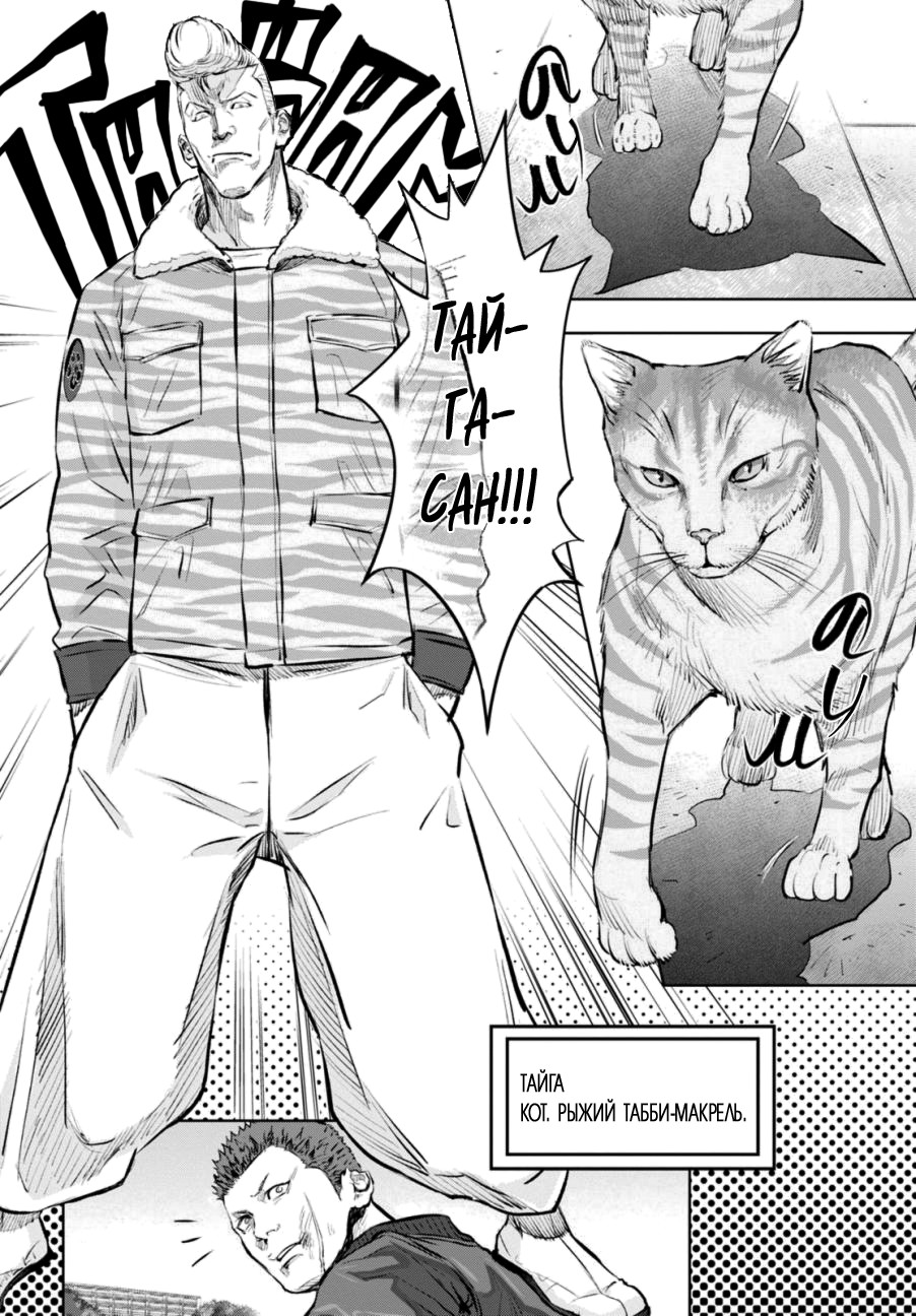 Nyankees Его имяу... 第29页