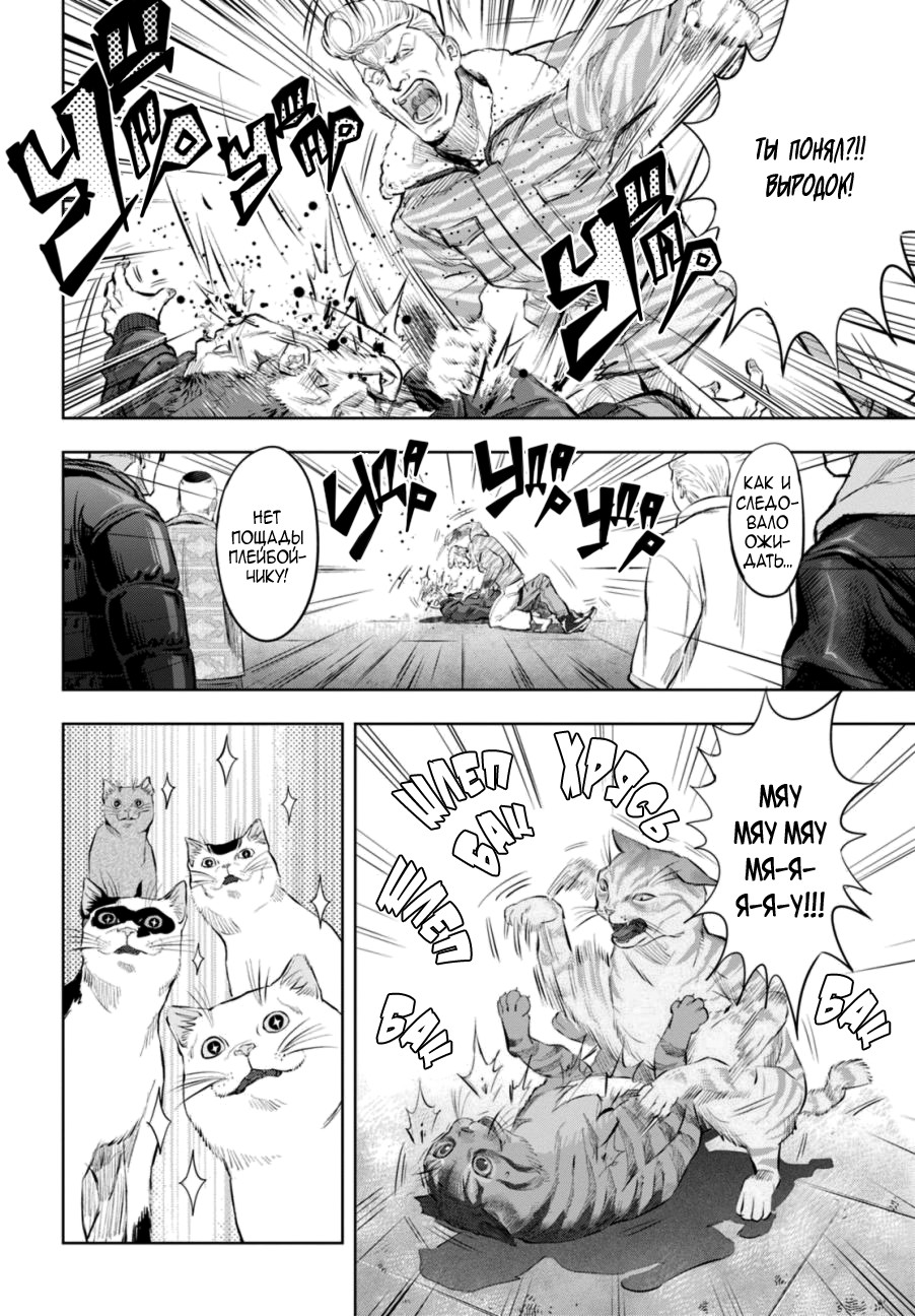 Nyankees Его имяу... 第35页