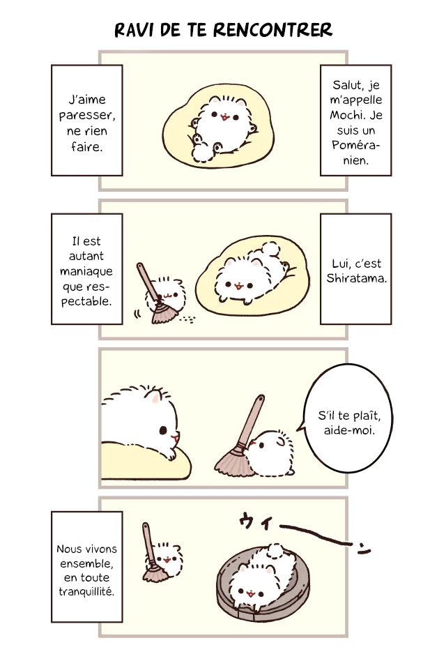 Mochi wa Pomeranian 第3页