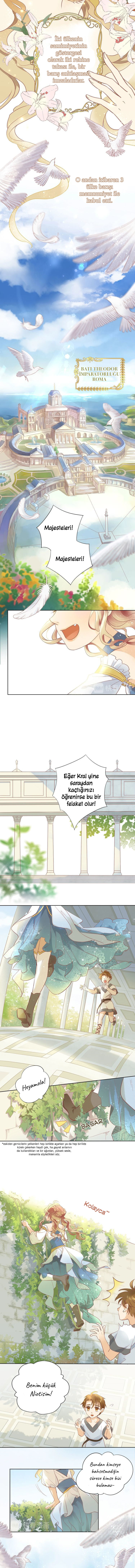 The Lady and the Lion Başlangıç 第3页