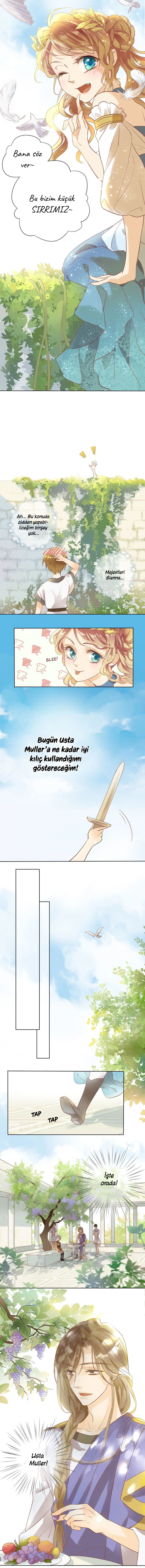 The Lady and the Lion Başlangıç 第4页