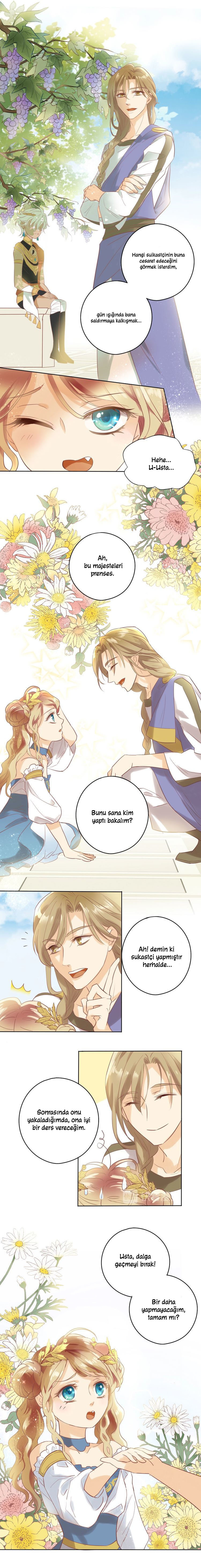 The Lady and the Lion Başlangıç 第6页