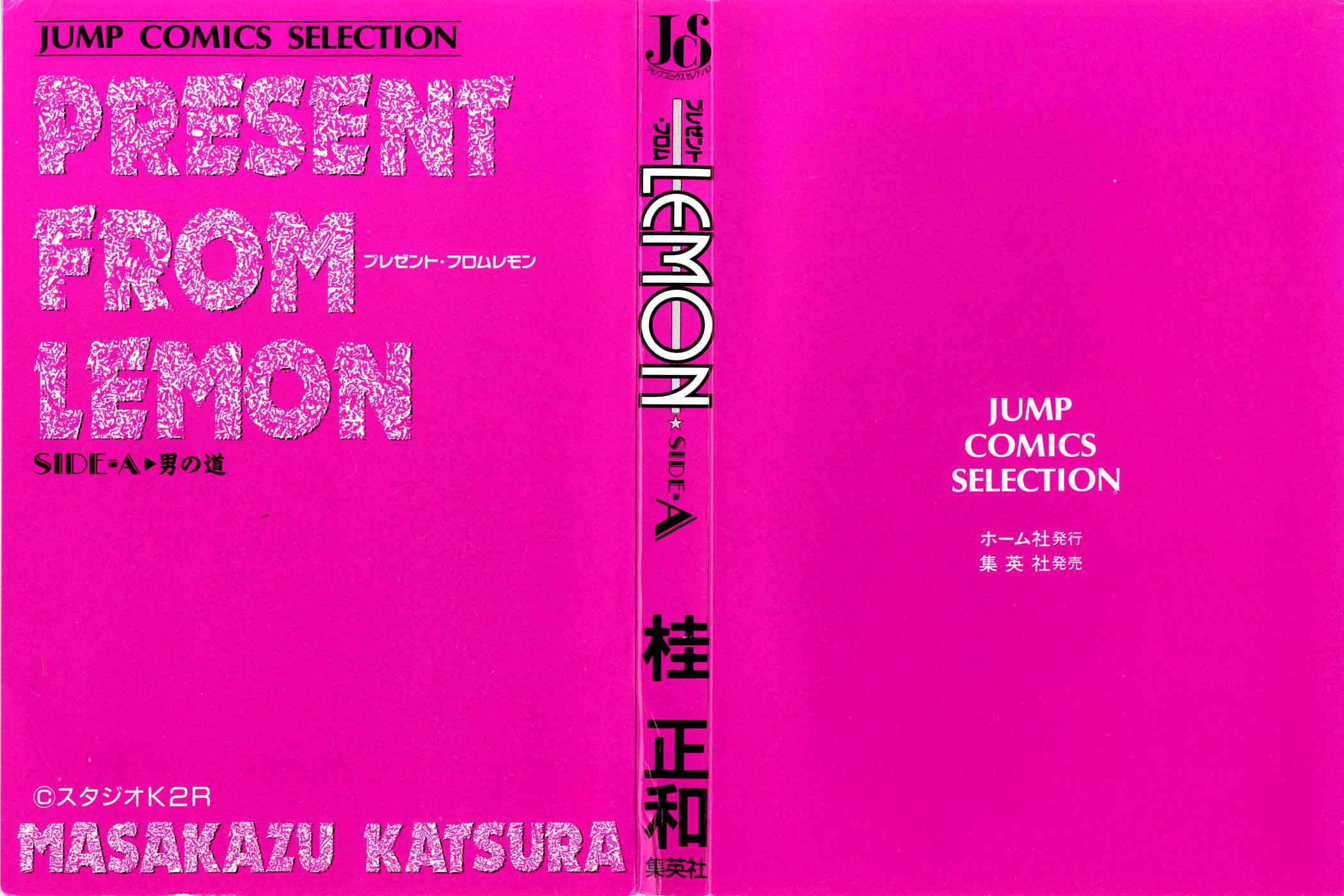Present from Lemon 第3页