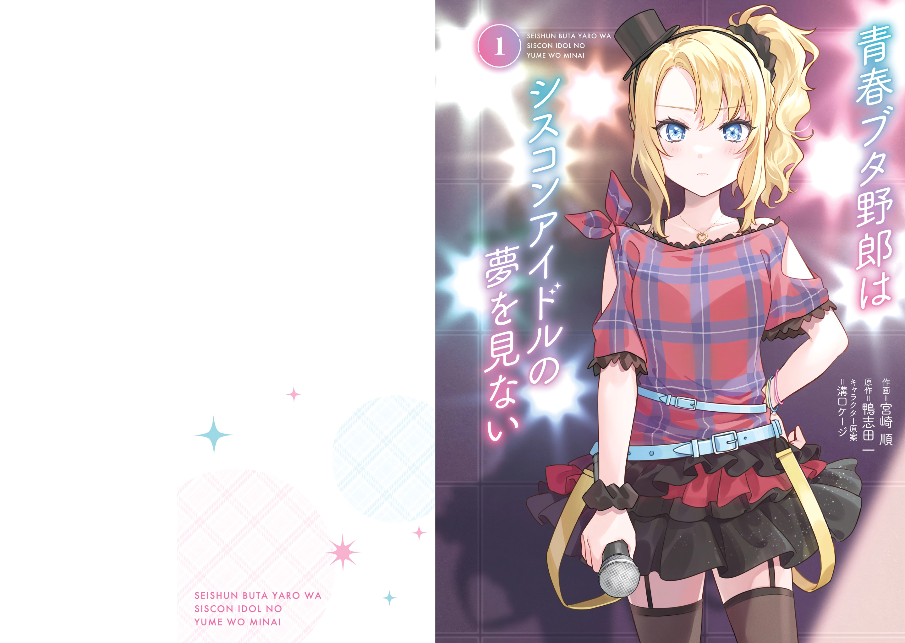Rascal Does Not Dream of Siscon Idol 第4页