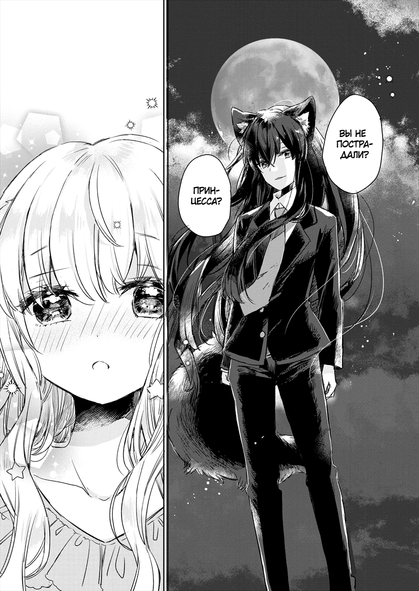 Ookami no Kawa wo Kabutta Hitsujihime Vol. 1 Ch. 1 第12页