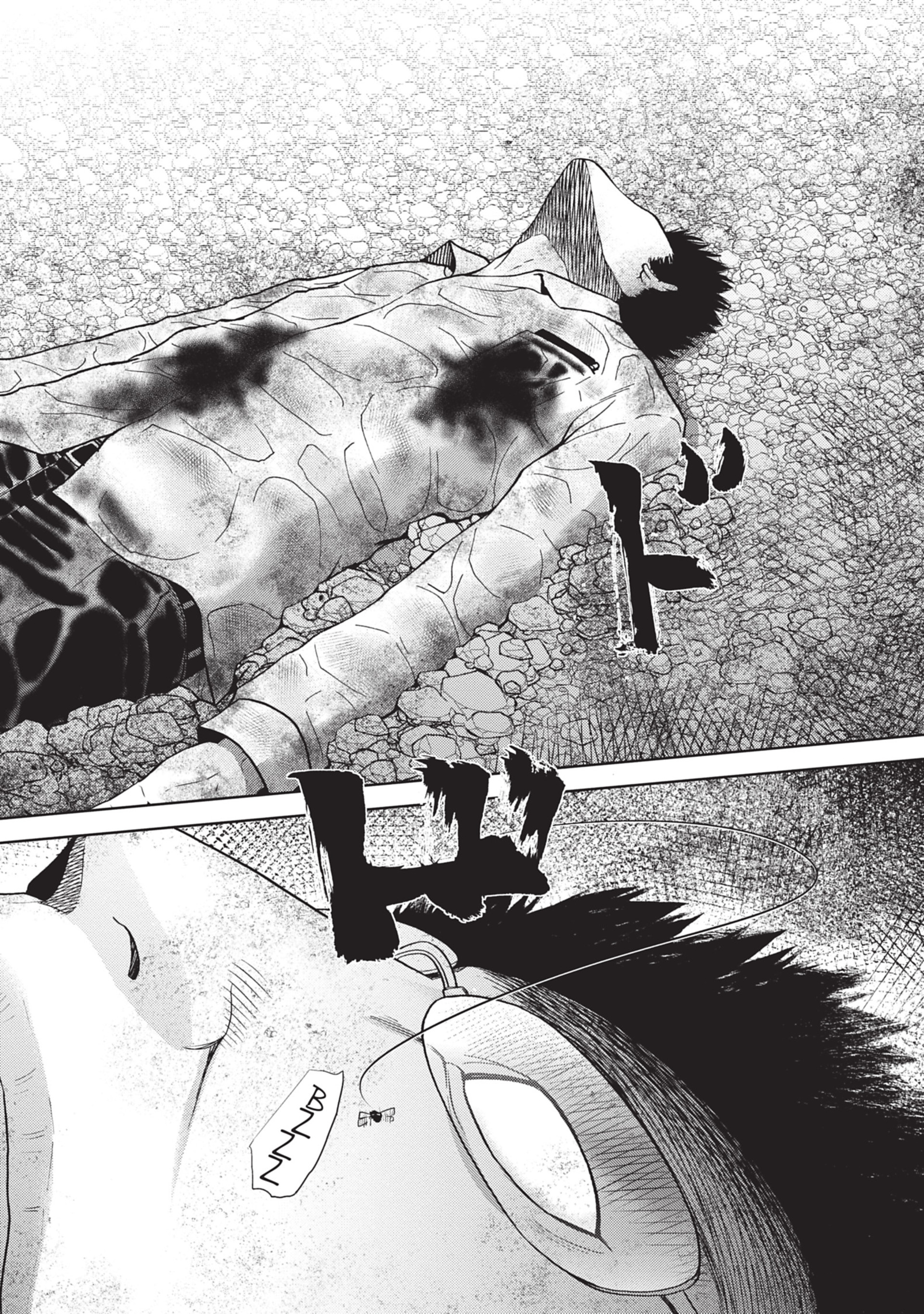 Alice on Border Road كيوتو 第15页