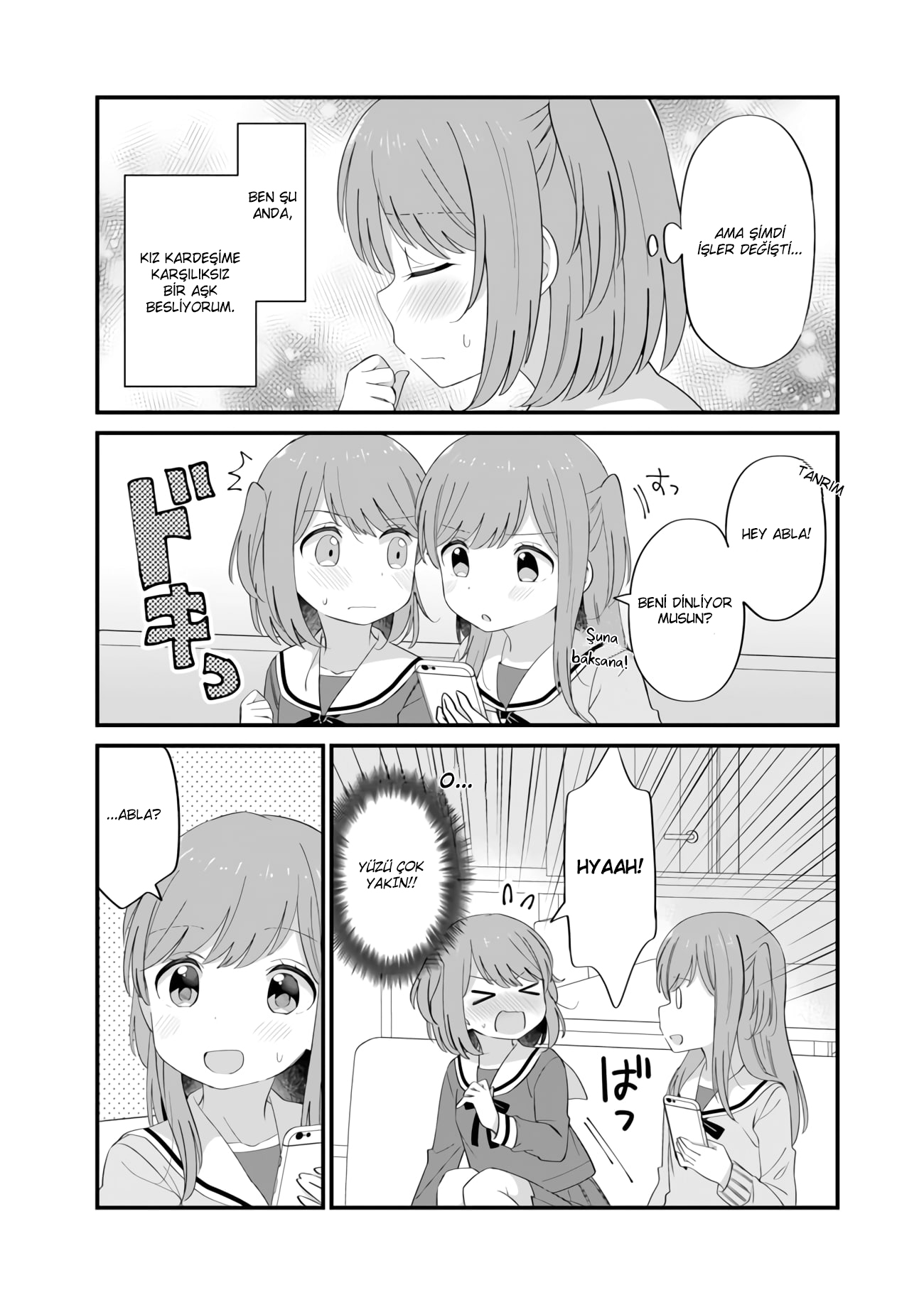 Mutually Unrequited Twin Sisters 第7页