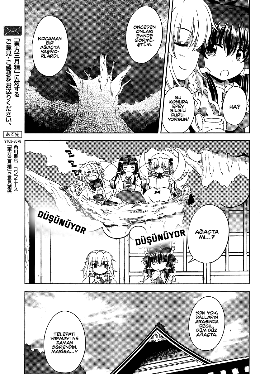 Touhou Sangetsusei ~ Oriental Sacred Place. Bölüm 1: Tapınağın Arkası 第9页