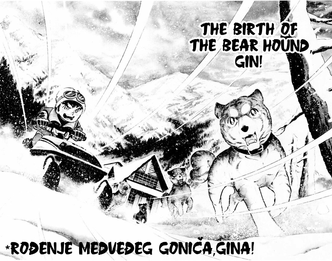 Silver Fang – The Shooting Star Gin – ROĐENJE MEDVEĐEG GONIČA, GINA! 第1页