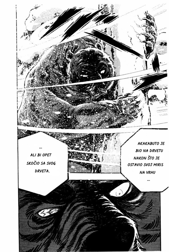 Silver Fang – The Shooting Star Gin – ROĐENJE MEDVEĐEG GONIČA, GINA! 第42页