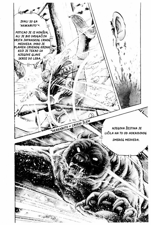 Silver Fang – The Shooting Star Gin – ROĐENJE MEDVEĐEG GONIČA, GINA! 第8页