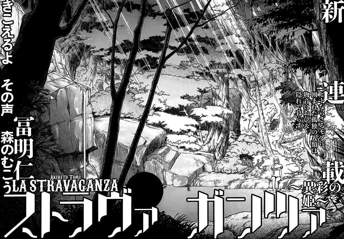 STRAVAGANZA The Queen in the Iron Mask Rừng Tuli 第8页
