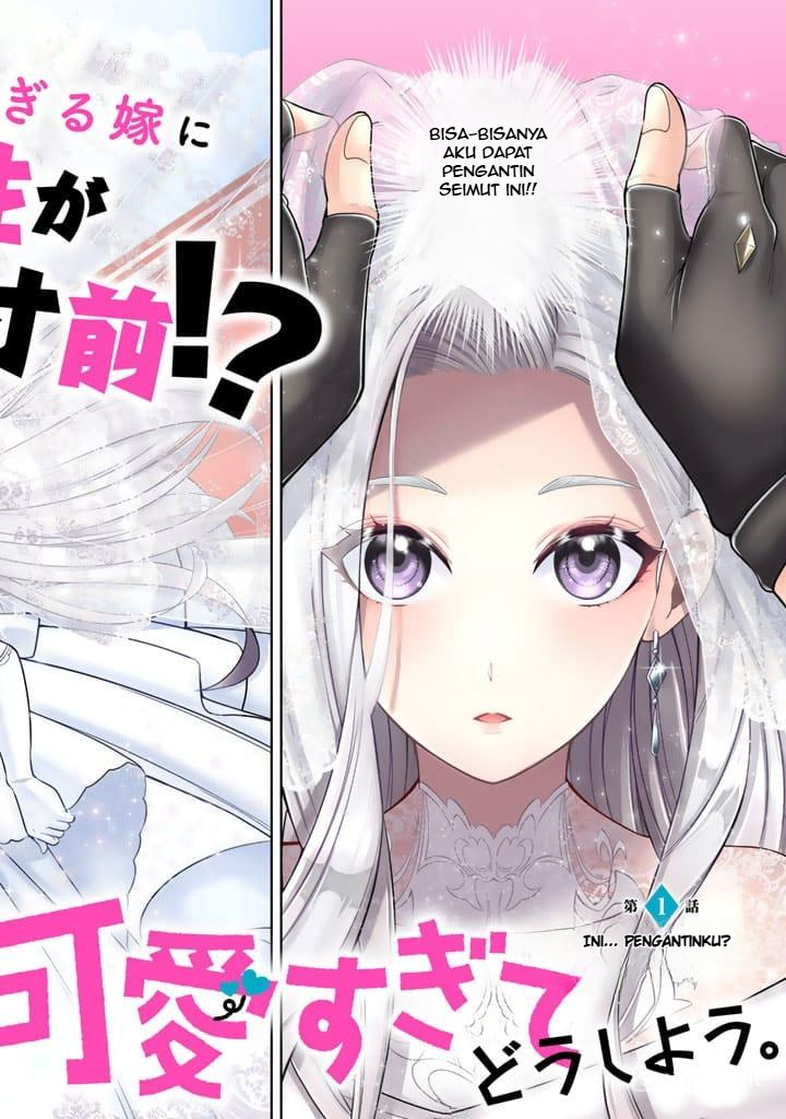Rinkoku kara Kita Yome ga Kawaisugite Doushiyou Ini Pengantinku? 第3页