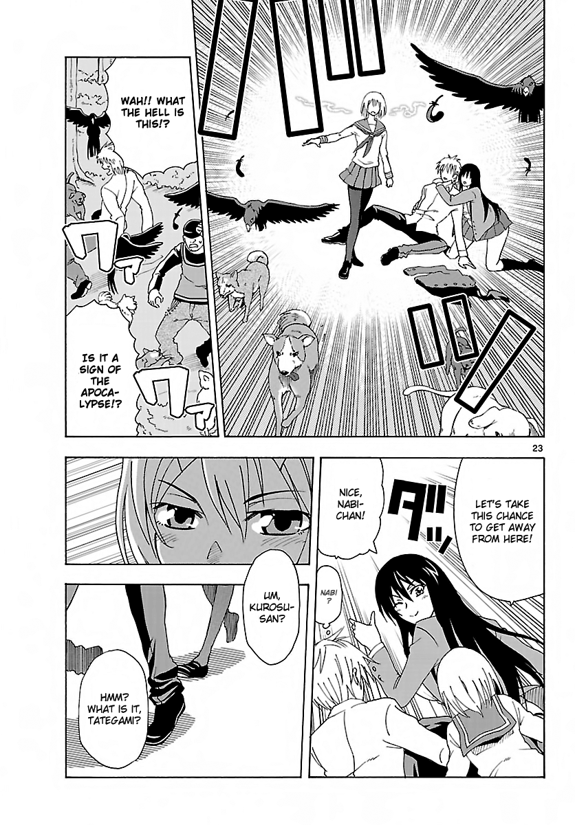 DCD Diamond Cut Diamond Vs. Anti 第22页
