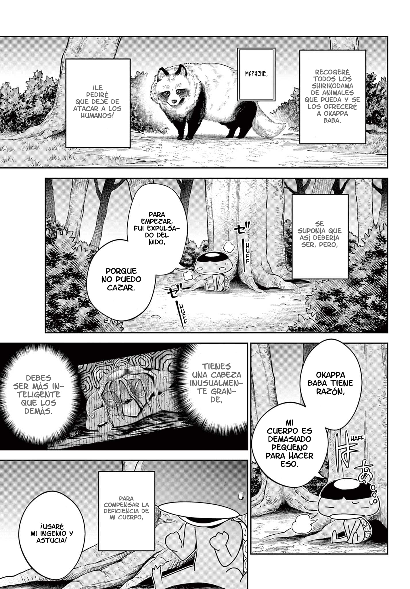 Tatari No Puedo 第12页