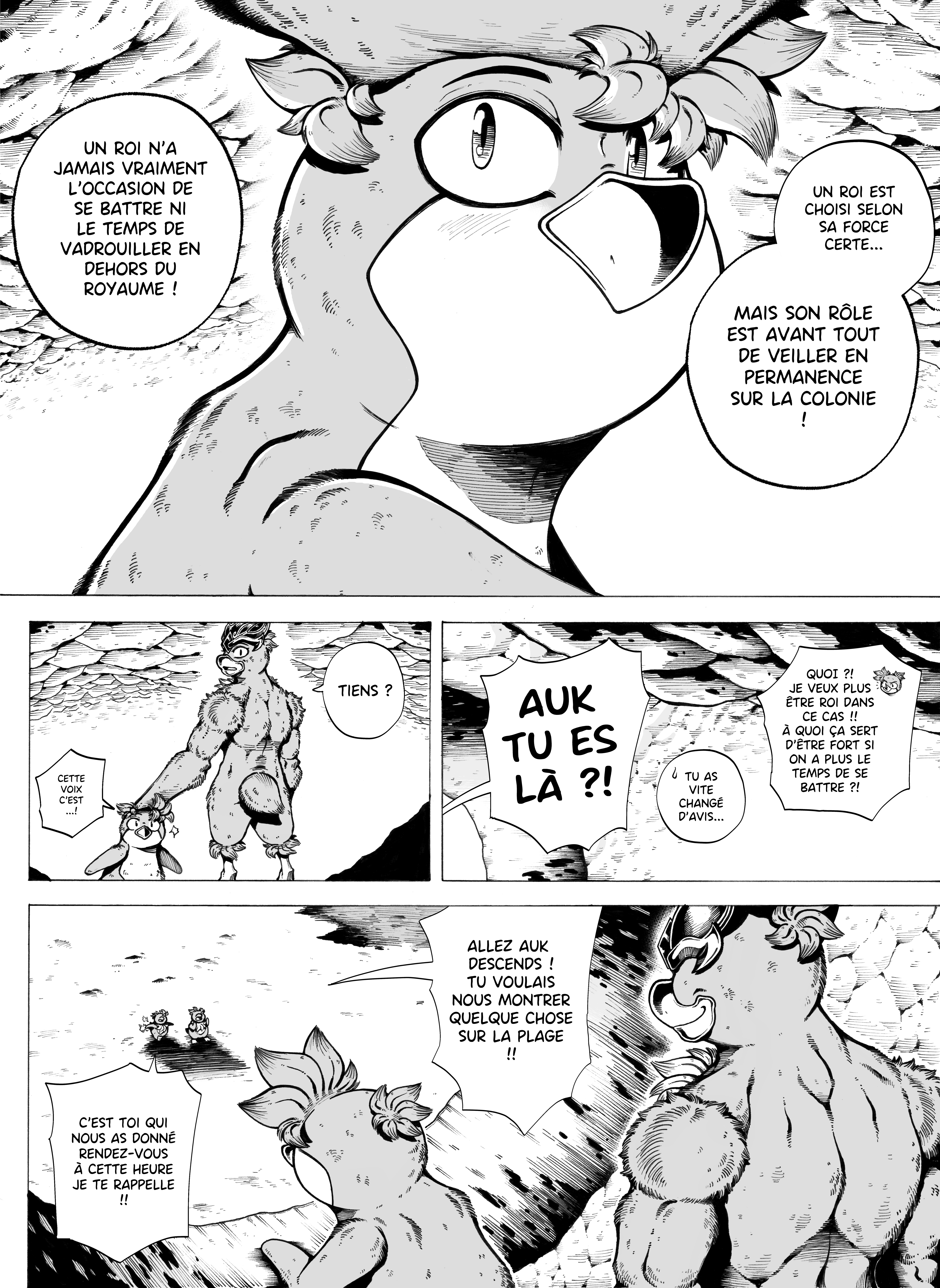 AUK Le Royaume de Ross 第12页