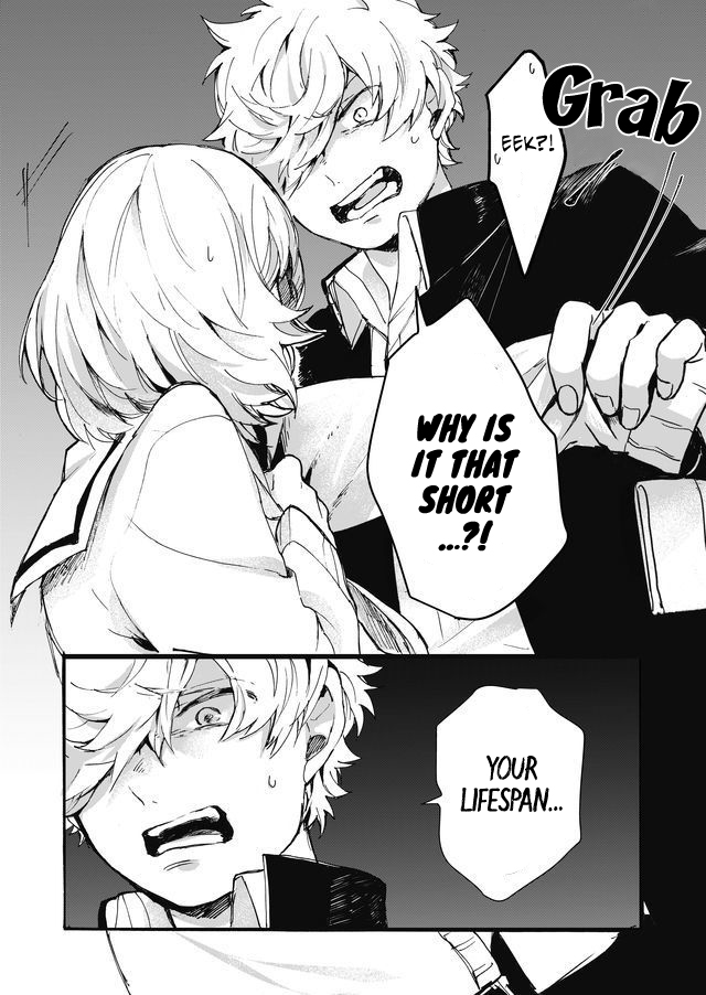 Memento Memori The Shinigami Strikes Time 第26页