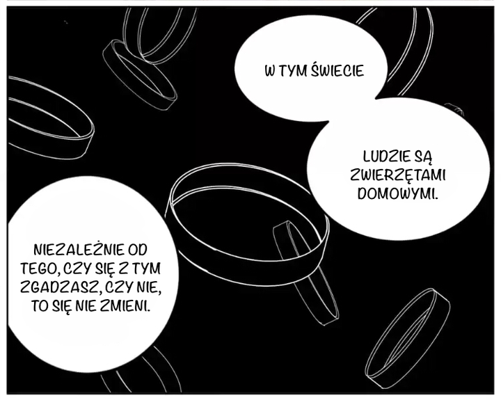 A World Ruled by Cats Ch. 6 第12页