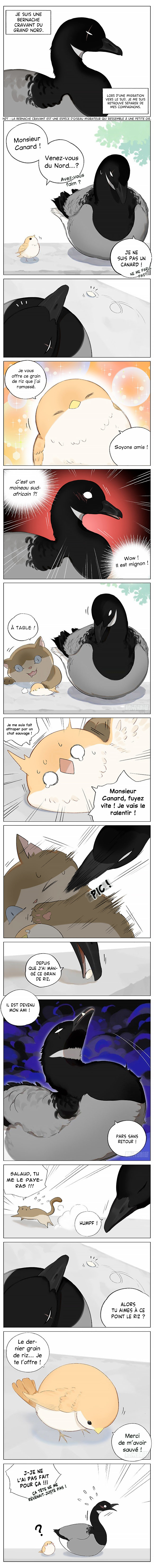 Southern Bird and Northern Bird Ch. 1 第2页