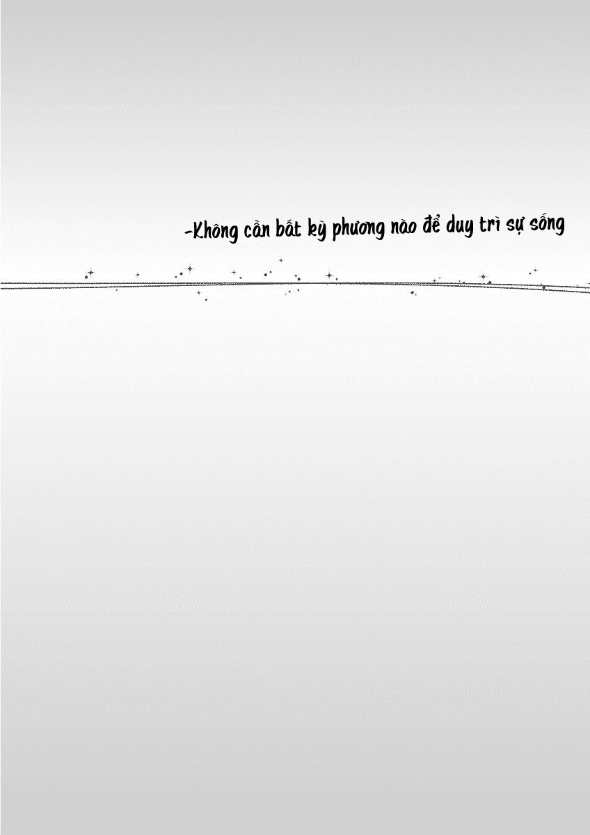 Elephant's Back Không cần bất kỳ phương pháp nào để duy trì sự sống 第2页