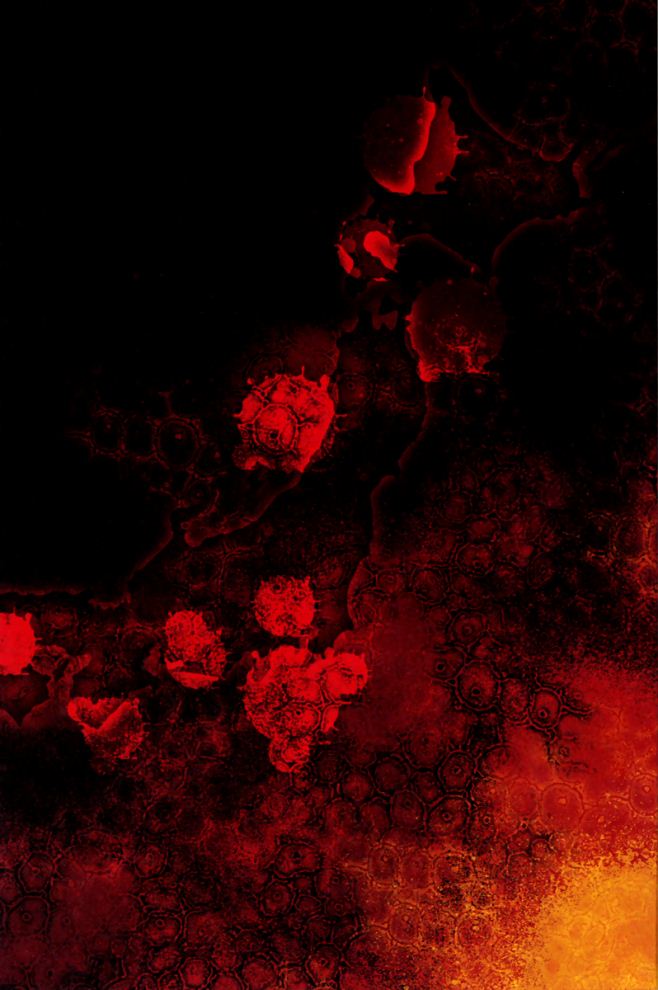 Pandemic Vol. 1 Ch. 1 第3页