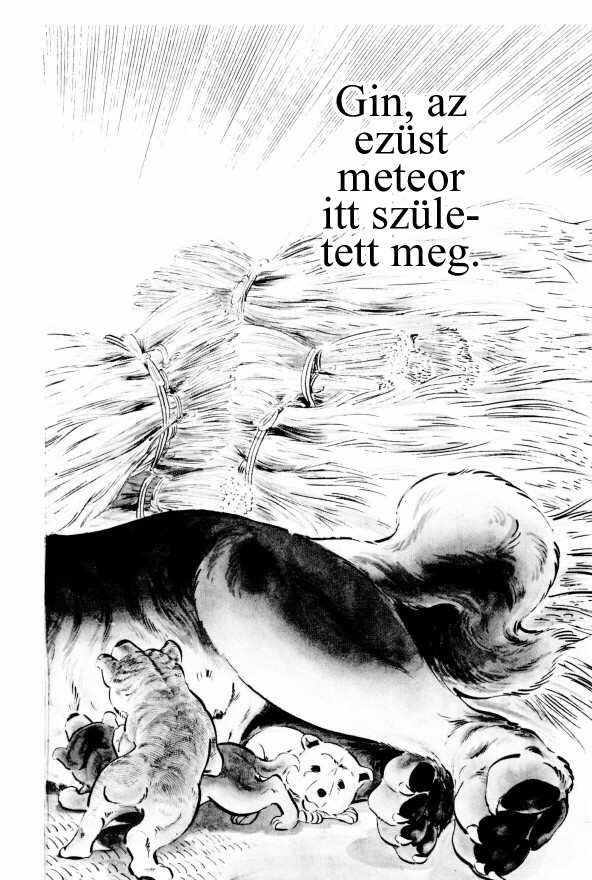 Silver Fang – The Shooting Star Gin – Megszületett Gin, a medvevadász! 第22页