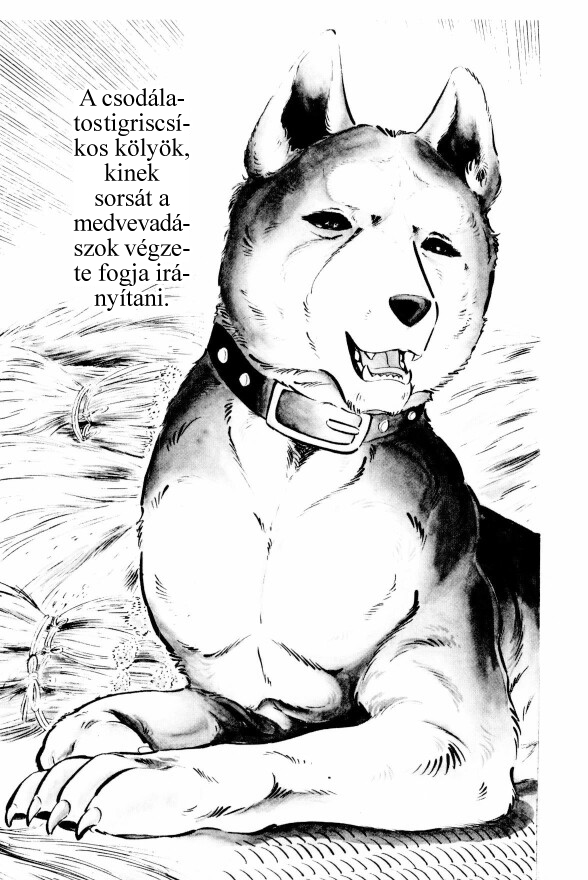 Silver Fang – The Shooting Star Gin – Megszületett Gin, a medvevadász! 第23页