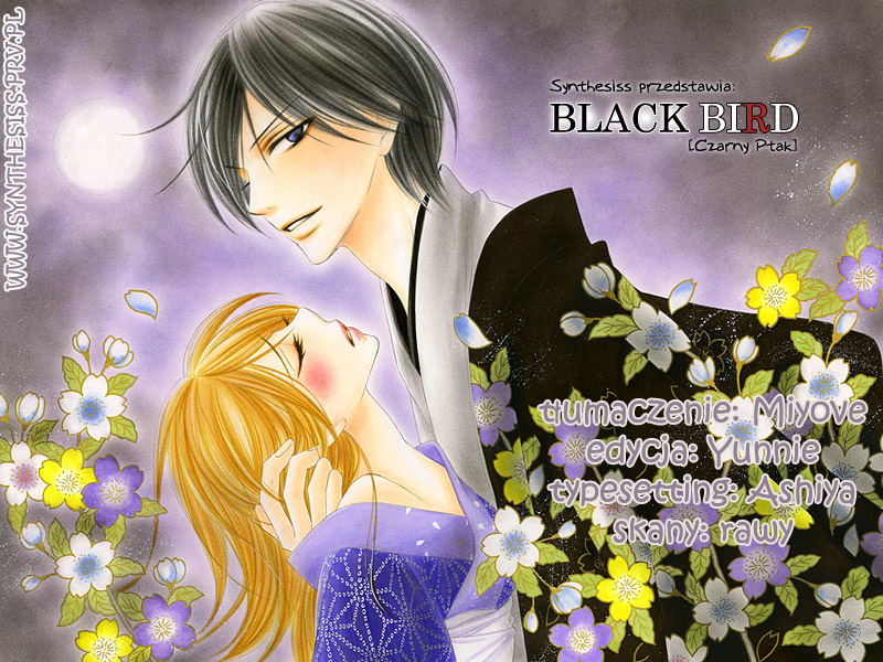 Black Bird 第3页