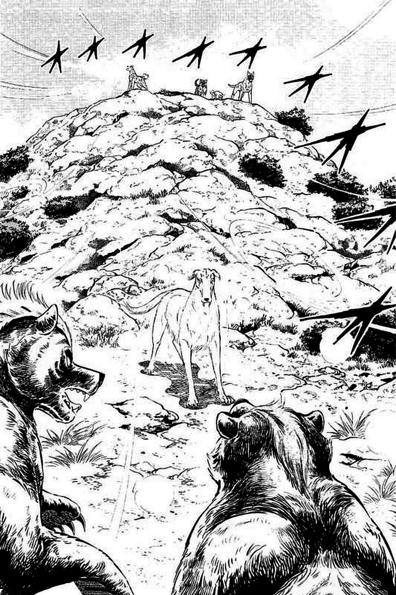 Ginga: The Last Wars Wounded Courage 第10页