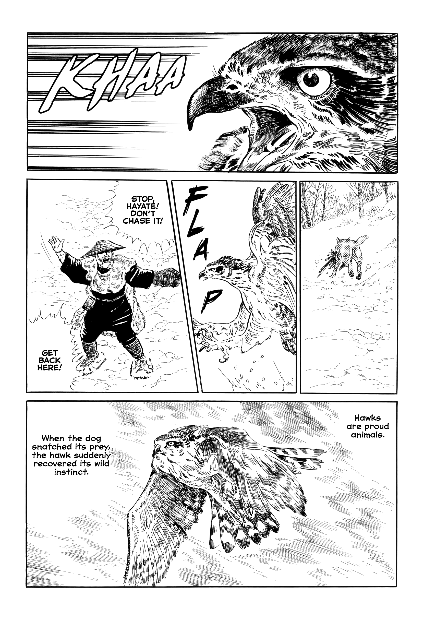 From Wilderness The Hawk 第12页