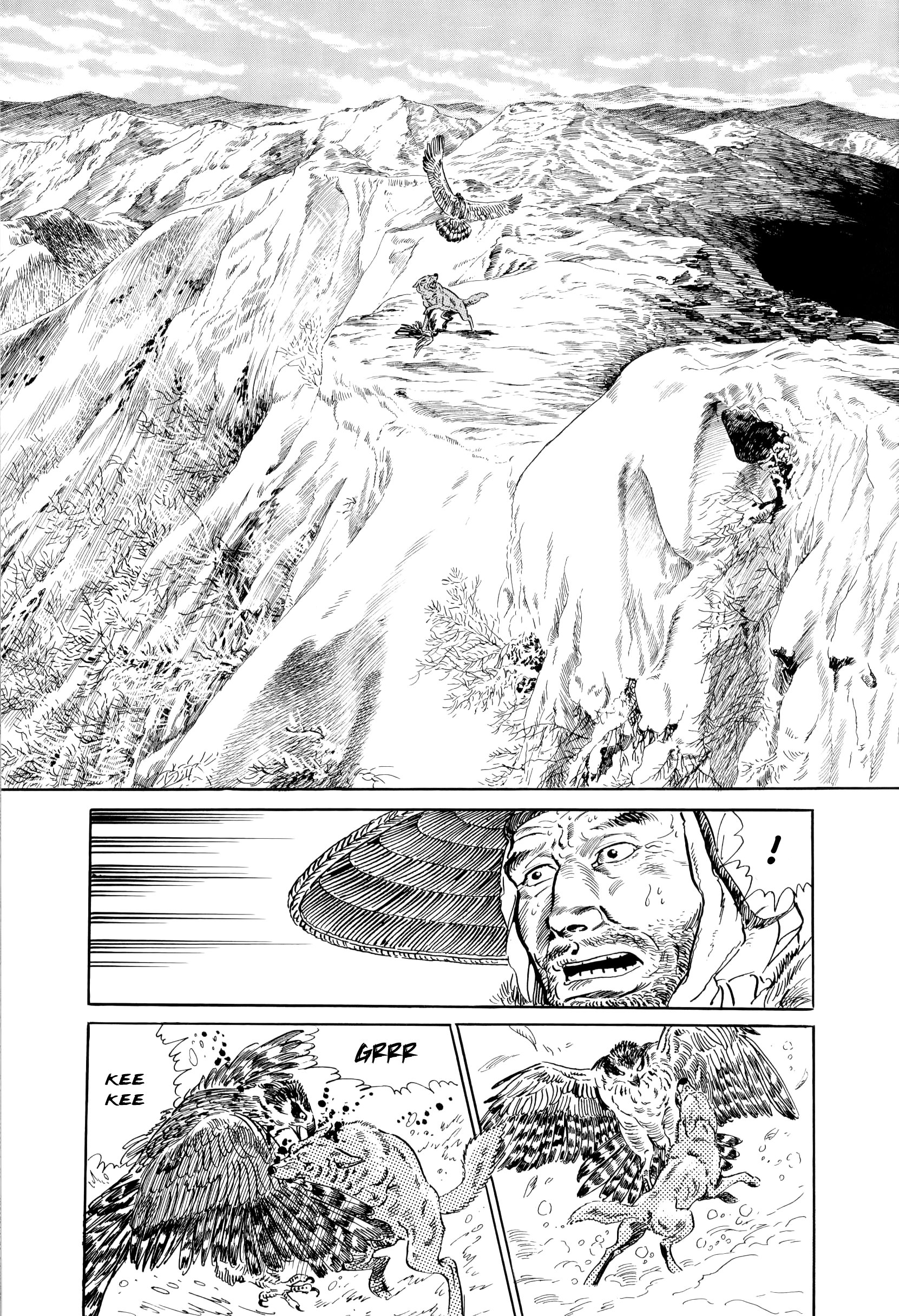 From Wilderness The Hawk 第14页