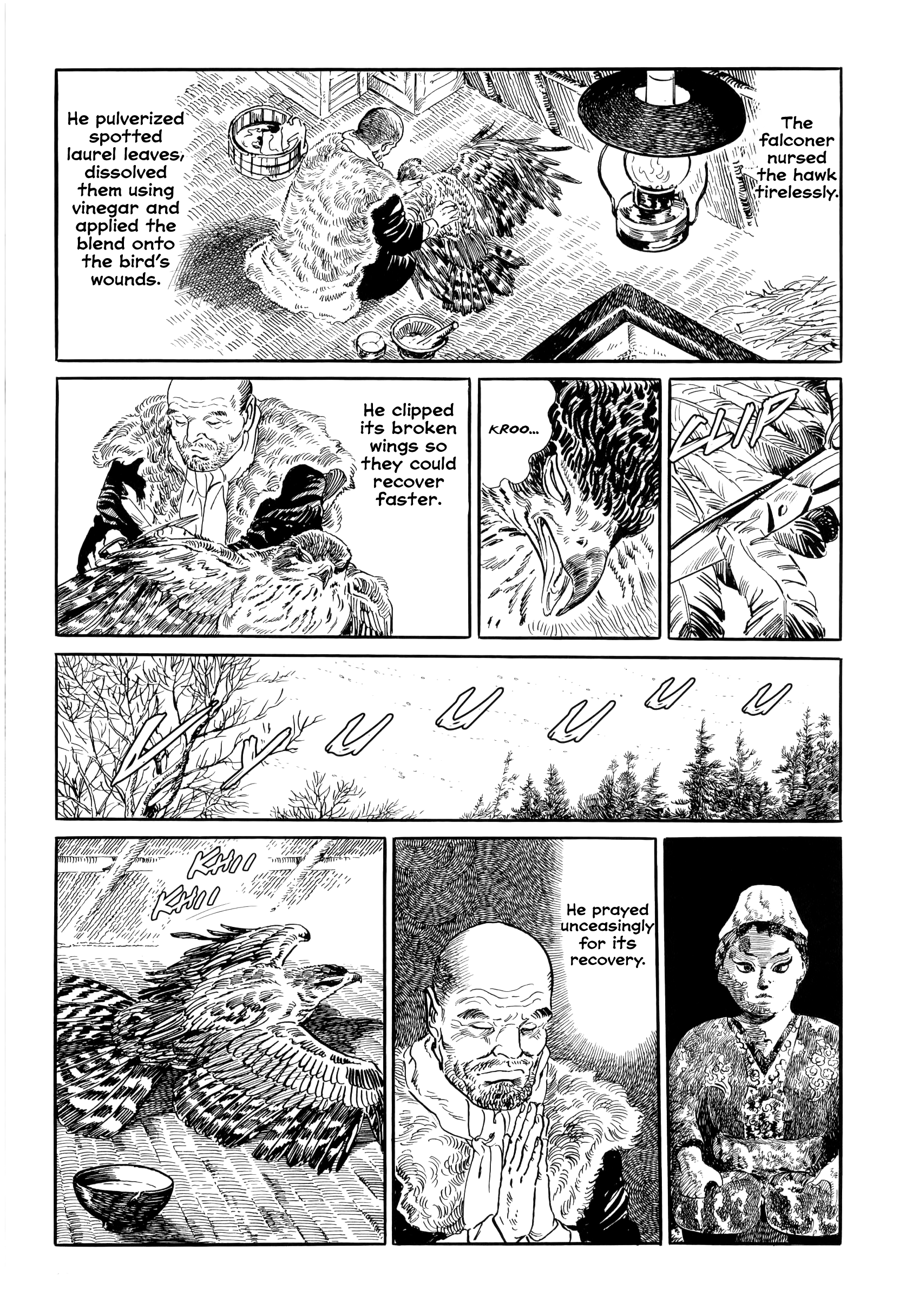 From Wilderness The Hawk 第20页