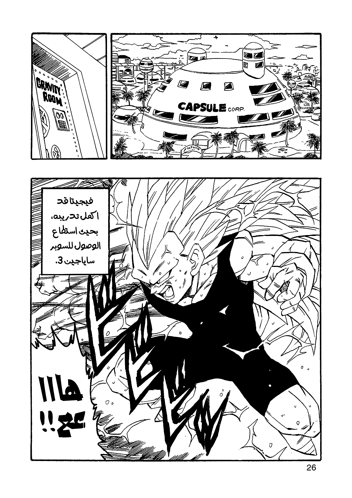 Dragon Ball AF (Young Jijii) بعد المستقبل 第29页