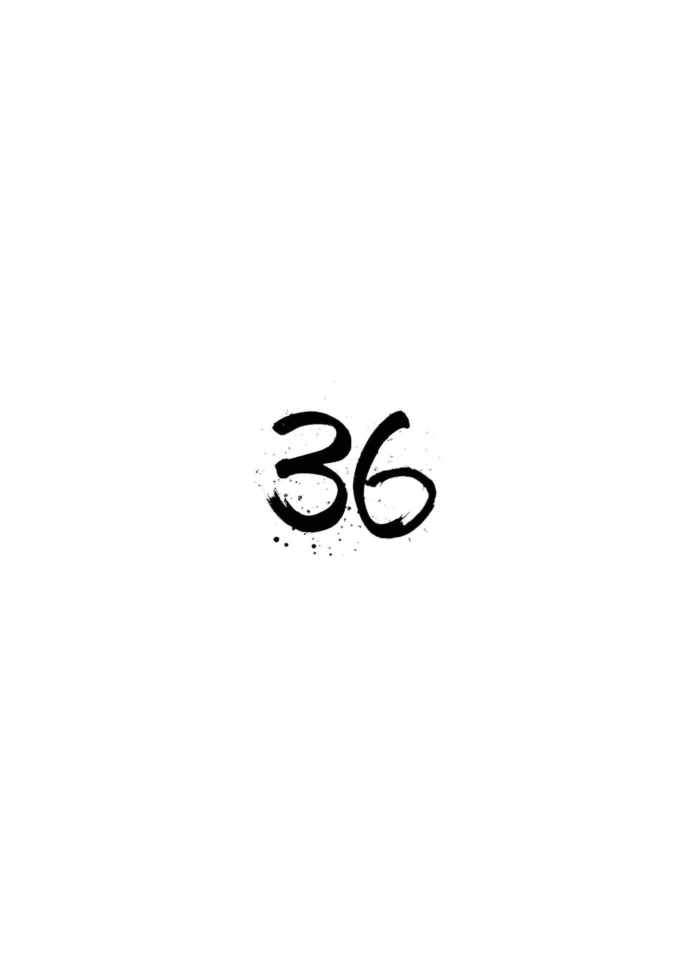 36 第3页