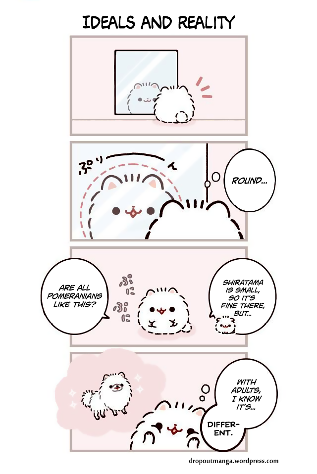 Mochi wa Pomeranian 第6页